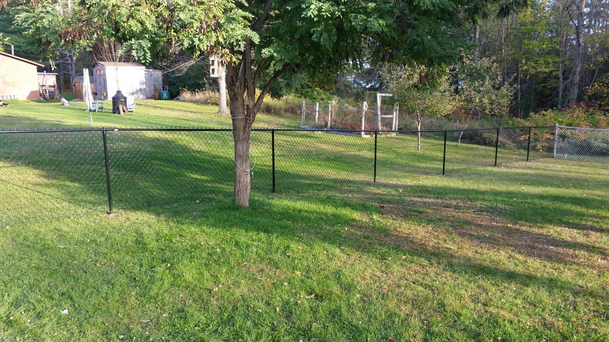 Chainlink Fence